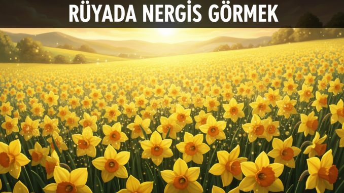 "Rüyada Nergis Görmek"
