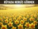 "Rüyada Nergis Görmek"