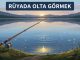 "Rüyada Olta Görmek"