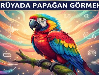 "Rüyada Papağan Görmek"