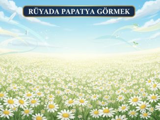 "Rüyada Papatya Görmek"