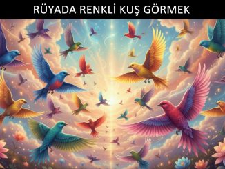 "Rüyada Renkli Kuş Görmek"
