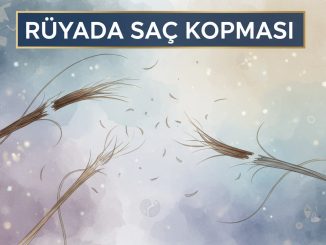 "Rüyada Saç Kopması"