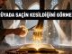 "Rüyada Saçın Kesildiğini Görmek"
