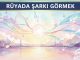 "Rüyada Şarkı Görmek"