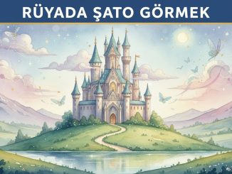 "Rüyada Şato Görmek"
