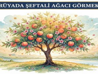"Rüyada Şeftali Ağacı Görmek"
