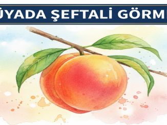 "Rüyada Şeftali Görmek"
