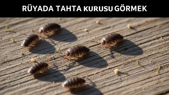"Rüyada Tahta Kurusu Görmek"