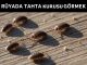 "Rüyada Tahta Kurusu Görmek"