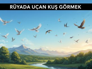 "Rüyada Uçan Kuş Görmek"