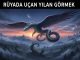 "Rüyada Uçan Yılan Görmek"