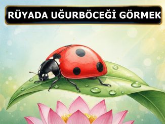 "Rüyada Uğur Böceği Görmek"