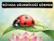 "Rüyada Uğur Böceği Görmek"