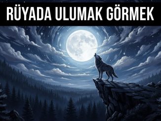 "Rüyada Ulumak Görmek"