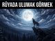 "Rüyada Ulumak Görmek"