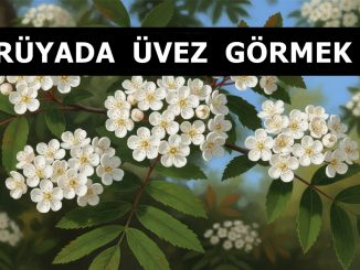 "Rüyada Üvez Görmek"