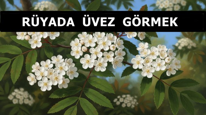 "Rüyada Üvez Görmek"