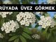 "Rüyada Üvez Görmek"