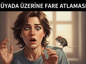 "Rüyada Üzerine Fare Atlaması"