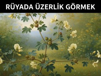 "Rüyada Üzerlik Görmek"