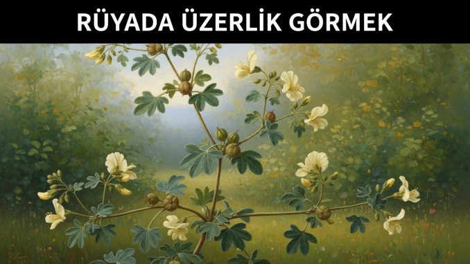 "Rüyada Üzerlik Görmek"