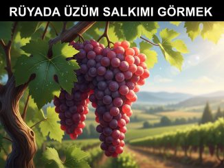 "Rüyada Üzüm Salkımı Görmek"