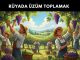 "Rüyada Üzüm Toplamak"