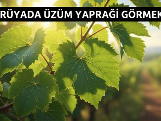 "Rüyada Üzüm Yaprağı Görmek"