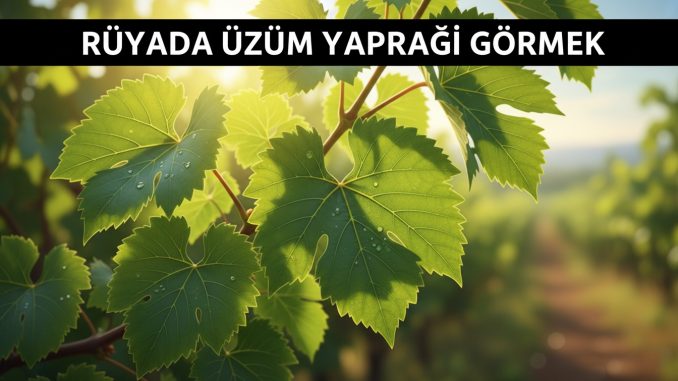 "Rüyada Üzüm Yaprağı Görmek"