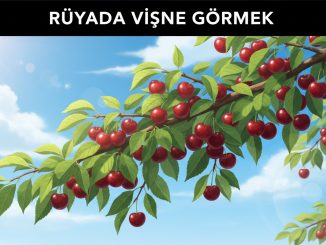 "Rüyada Vişne Görmek"