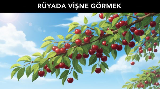"Rüyada Vişne Görmek"