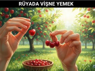 "Rüyada Vişne Yemek"