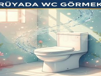 "Rüyada Wc Görmek"