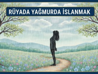 "Rüyada Yağmurda Islanmak"
