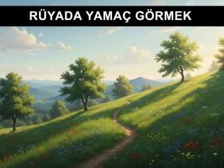 "Rüyada Yamaç Görmek"