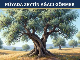 "Rüyada Zeytin Ağacı Görmek"
