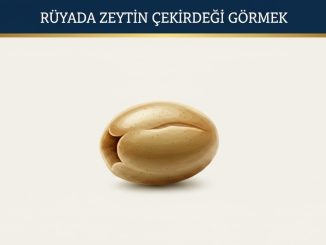 "Rüyada Zeytin Çekirdeği Görmek"