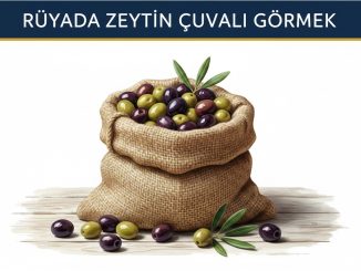 "Rüyada Zeytin Çuvalı Görmek"