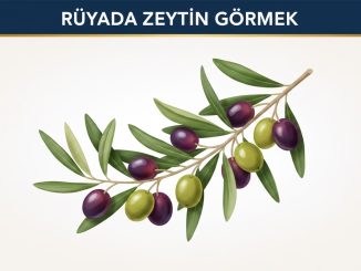 "Rüyada Zeytin Görmek"