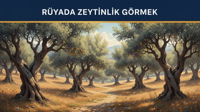 "Rüyada Zeytinlik Görmek"