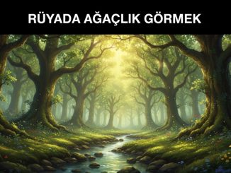 "Rüyada Ağaçlık Görmek"