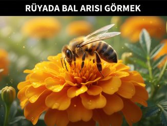 "Rüyada Bal Arısı Görmek"