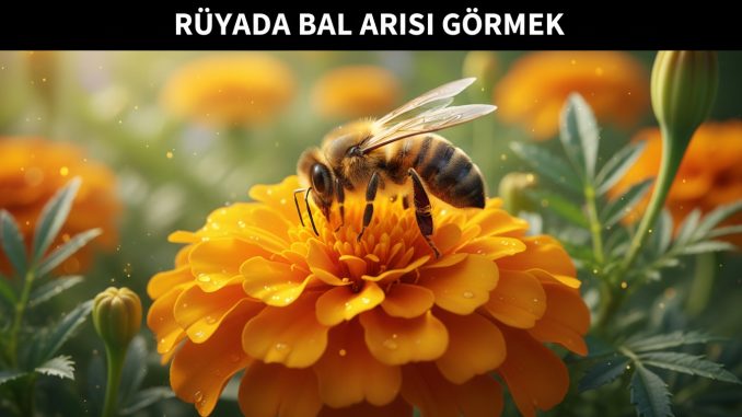 "Rüyada Bal Arısı Görmek"