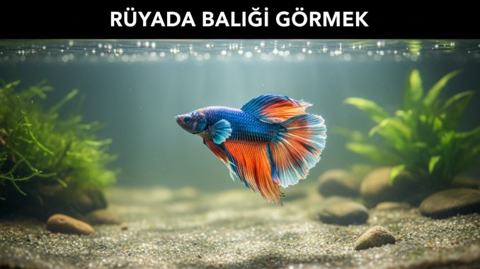 "Rüyada Balığı Görmek"