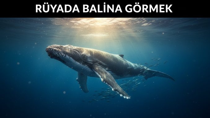 "Rüyada Balina Görmek"