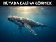 "Rüyada Balina Görmek"
