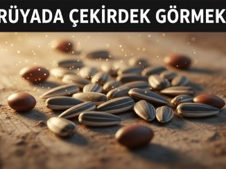 "Rüyada Çekirdek Görmek"