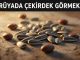 "Rüyada Çekirdek Görmek"