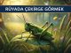 "Rüyada Çekirge Görmek"